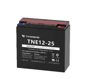 Tianneng motive electric bike E-scooter Maintenance-free 12V 25Ah Lead acid battery