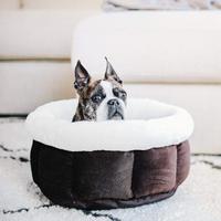 Lit pour chien en forme de beignet apaisant et anti-anxiété, très populaire, en fausse fourrure, confortable, lavable, rond, pour animaux de compagnie, lit de luxe pour chat
