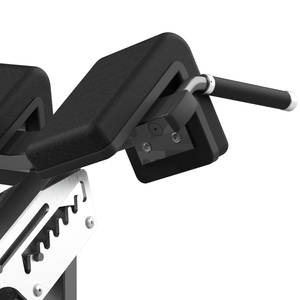 <span class=keywords><strong>Banc</strong></span> d'hyperextension professionnel pour salle <span class=keywords><strong>de</strong></span> sport, équipement <span class=keywords><strong>de</strong></span> musculation, machine <span class=keywords><strong>de</strong></span> développement <span class=keywords><strong>de</strong></span> force avec pile <span class=keywords><strong>de</strong></span> poids <span class=keywords><strong>de</strong></span> 4,5 kg - Product Image 3