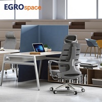 Chaise de bureau ergonomique professionnelle en maille avec support lombaire pour personnel, vente en gros EGROspace Factory