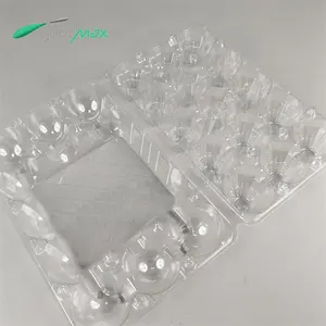 15 Caixas De Ovos De Plástico Blister Transparente Descartável Caixas De Ovos De PET De Plástico Embalagem Bandejas De Ovos Fornecedores