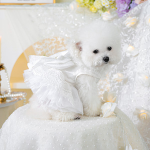 PETCIRCLE - Product Image 3