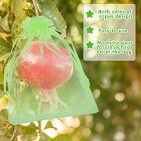 Sacs de protection pour vigne avec cordon de serrage pour protéger les semences, les fruits, les fleurs et les légumes des plantes