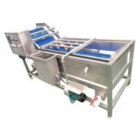 Volledig automatische groentewasmachine, fruitwasser, industriële bubbelwasser SUS304 voor bladgroenteverwerkingsfabriek