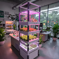 Équipement d'automatisation de serre commerciale Système de culture hydroponique vertical actionné par smartphone Agriculture intérieure centrée sur la pompe