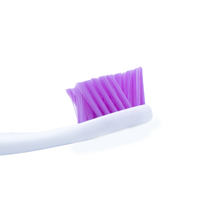 Brosse à dents pour enfants sur le thème des dinosaures pour un usage domestique Poils souples Produit de soins bucco-dentaires amusant pour enfants avec poignée en PP
