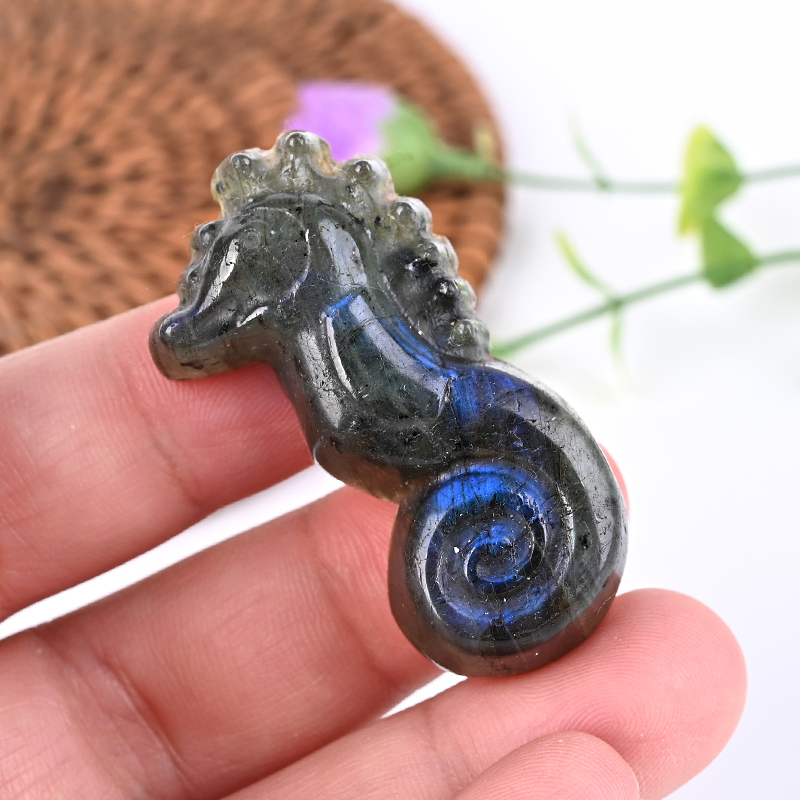 hippocampe