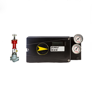 มีสินค้าในสต็อก PMV D20 ดิจิตอล พร้อมเซ็นเซอร์เซี่ยงไฮ้ เดียนเจียน - Product Image 1