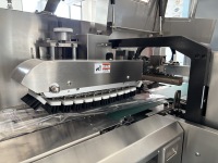 Automatische Hochwertige Verpackungsmaschine für Brot, Cupcakes, Sandwiches und Kekse mit Horizontaler Kissenverpackung und Box-Motion-Verpackung