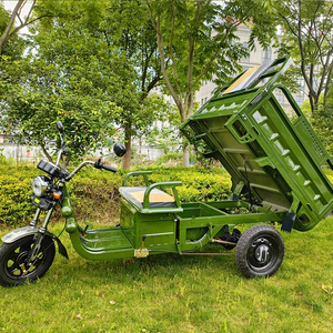 Tuk-tuk électrique, vélo électrique à 3 <span class=keywords><strong>roues</strong></span>, tricycle passager, <span class=keywords><strong>moto</strong></span> cargo pour adultes, pour la ferme - Product Image 2