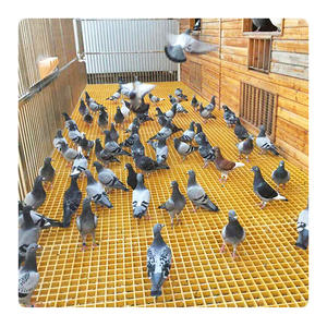 ตะแกรงไฟเบอร์กลาส (FRP) ผิวเรียบ ขนาด 38x38x25 มม. ทนทาน เหมาะสำหรับโรงเลี้ยงนกพิราบ - Product Image 1