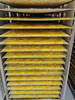 Sécheur de fruits et légumes à pompe à chaleur en acier inoxydable industriel, faible bruit, machine de transformation automatique de chips de pommes et de bananes séchées