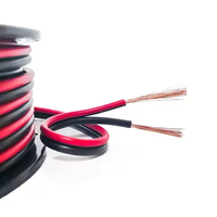 12/2 14/2 16/2 18/2 Jauge Rouge Noir Câble Haut-Parleur Fil LED Bande Lumière Rallonge 12V/24V DC Câble pour LED Bande Éclairage