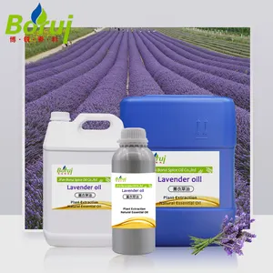 Wholesale Price Aromatic Essential Oil Organic Pure Natural Lavender Essential Oil Bulk