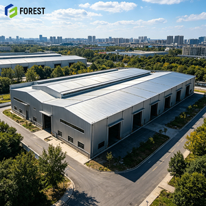 Estructura de Acero para Portal, Edificio Industrial Prefabricado Galvanizado, Avanzado, Eficiente, Amplio, Personalizado, Profesional, Antiestable - Product Image 1