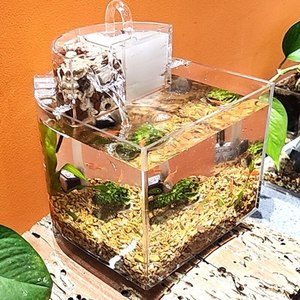 Aquarium décoratif de bureau en acrylique parfaitement transparent, taille personnalisée - Product Image 6