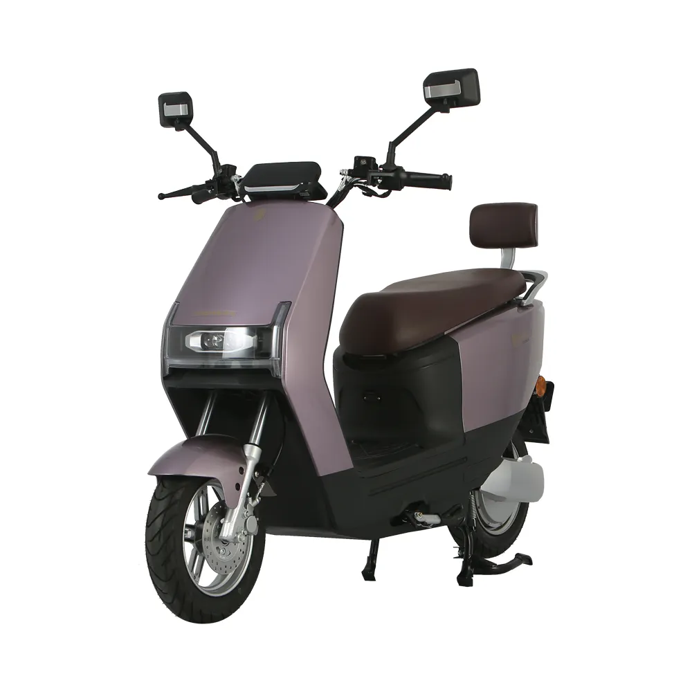 New Type Of Cargo Compartment Cheap 2 Wheel Electric motorcycle Cargo moto Motorcycle Popular