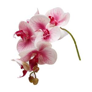 Orchidées Phalaenopsis artificielles, fleurs en soie à 9 têtes, décorations de mariage, haute simulation, réutilisables - Product Image 3