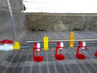 Compre nuevos comederos y bebederos automáticos para aves de corral, equipo eficiente para granjas de pollos que proporciona una alimentación óptima