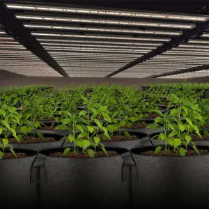 Seednleaf 상업 그린 하우스 디 밍이 가능한 채식 꽃 730 와트 수직 식물 성장을 위한 성장 빛 Led