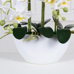 Plantes d'orchidées <span class=keywords><strong>dendrobium</strong></span> au toucher réel M609, orchidées <span class=keywords><strong>phalaenopsis</strong></span>, fleurs d'orchidées, arrangement d'orchidées avec pot - Product Image 6