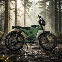 Pour les assemblateurs locaux : Nouveau vélo électrique pliable 2026, capacité de charge lourde de 200 kg