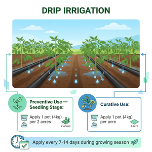 Biostimulant antimicrobien lipopeptide ≥200g/L, engrais liquide organique soluble dans l'eau, favorisant la croissance des racines et contrôlant les maladies du sol - Product Image 4