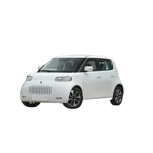 Populaire Elektrische Mini Auto Ora Witte Kat Gebruikt Nieuwe Energie Auto Voor Beginners 2023 Elektrische Nieuwe Energie Stad Voertuig