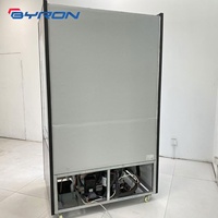 Réfrigérateur vertical à rideau d'air pour boissons et yaourts de magasin de proximité, vitrine ouverte, armoire réfrigérée écoénergétique