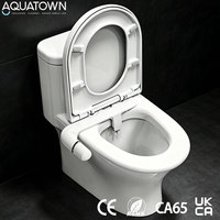 Accessoire de bidet pour toilettes, lavage féminin, eau froide, double buse, lavage frontal, ultra-plat, rétractable, pour salle de bain