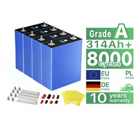 Sel Baterai Lithium LiFePO4 3.2V Grade A+ DS 314Ah, Kapasitas Tinggi, 8000 Siklus, Dapat Diisi Ulang, Garansi 5 Tahun, -20C hingga 60C