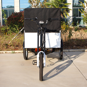 Bicicletta Elettrica a 3 Ruote per Consegne 48V 500W con Carico Posteriore e Box, Triciclo Cargo con Tettuccio, Prezzo di Fabbrica - Product Image 5