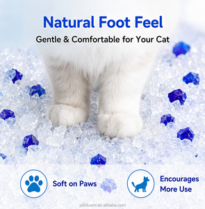 Wholesale Crystal <b>Cat</b> <b>Litter</b> 3.8L Silica Gel <b>Cat</b> Sand Fast Absorption Low Dust OEM ODM - Product Image 2
