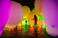 Vente flash : Boules gonflables en PVC avec éclairage LED pour fêtes, boules gonflables pour foules, boules gonflables zygotes