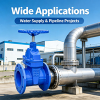 Vanne à opercule manuelle à joint souple en fonte ductile à bride DN50-DN600 PN16 certifiée CE, directement de l'usine, pour l'alimentation en eau municipale