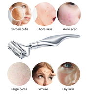 Rouleau Derma Métallique Multifonctionnel pour Massage Facial, Outil de Lifting Cutané, Gua Sha sans Aiguilles, Appareil de Soin du Visage et de Beauté