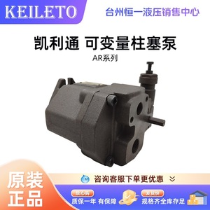 ปั๊มไฮดรอลิก Kailiton Ar Series Piston Pump รุ่น Ar1622 Fr01c B S 22 20 - Product Image 1