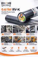 Câble EES RV-K flexible isolé XLPE, 3 conducteurs, 6, 10, 16 mm², conducteur en cuivre pour usage industriel au Qatar
