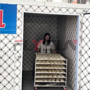 Vorteilhafte Trocknungsanlage Obst-Trockenraum Aprikosen-Pflaumen- und Papaya-Trockner - Product Image 4