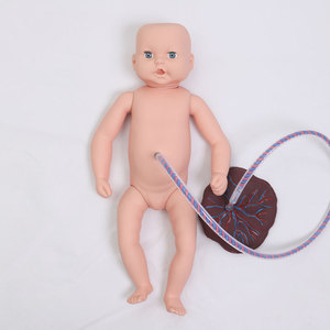 Modelo médico DARHMMY, maniquí de enfermería, modelo de cordón umbilical y placenta neonatal para ciencia médica - Product Image 1