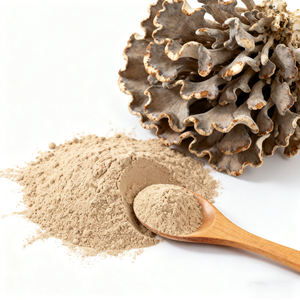 किन्शतंंग कार्बनिक 50% पॉलीसैक्राइड मैटिक मशरूम निकालने वाला पाउडर 30% वयस्कों के लिए प्राकृतिक सामग्री - Product Image 1