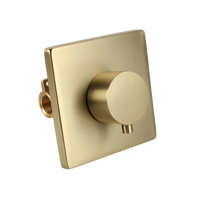 Ensemble de robinetterie de douche thermostatique encastrée au mur, nickel brossé, style moderne, pour usage hôtelier