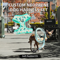 Fournitures pour animaux de compagnie, harnais et laisse pour chien en polyester rembourré avec décoration en écharpe, design mignon, personnalisé