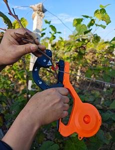 Machine robuste pour le ligature des plantes, idéale pour le soutien des vignes, des tomates et des fruits <span class=keywords><strong>de</strong></span> <span class=keywords><strong>la</strong></span> <span class=keywords><strong>passion</strong></span> - Product Image 2