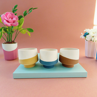 Moule à pot de bonsaï rond en céramique chromé bicolore de style européen en forme de grenouille, classique, vente en gros, décoration maison et jardin