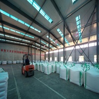 Resina Polimérica de Intercambio Aniónico de Base Débil D301G para la Extracción de Oro de Lodos de Mineral