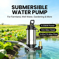 Pompe à eau en acier inoxydable 0,5 CV pour puits profond, 12V/24V DC, haute pression, 100m de profondeur, irrigation agricole
