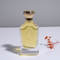 Nouveau design/style, flacon de parfum vide en verre de 100 ml, très vendu, avec bouchon en alliage de zinc carré et plat