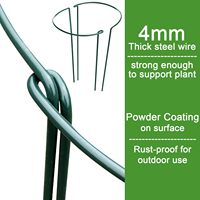 Grand support de plante en fil métallique pour jardin, intérieur/extérieur, revêtement en poudre, pour tomates, roses, fleurs
