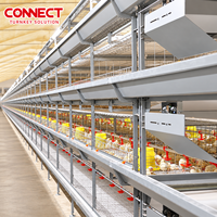 Cage d'élevage avicole à grande échelle, cage à poulets multicouche à structure en H, système d'alimentation et d'abreuvement automatique en vrac